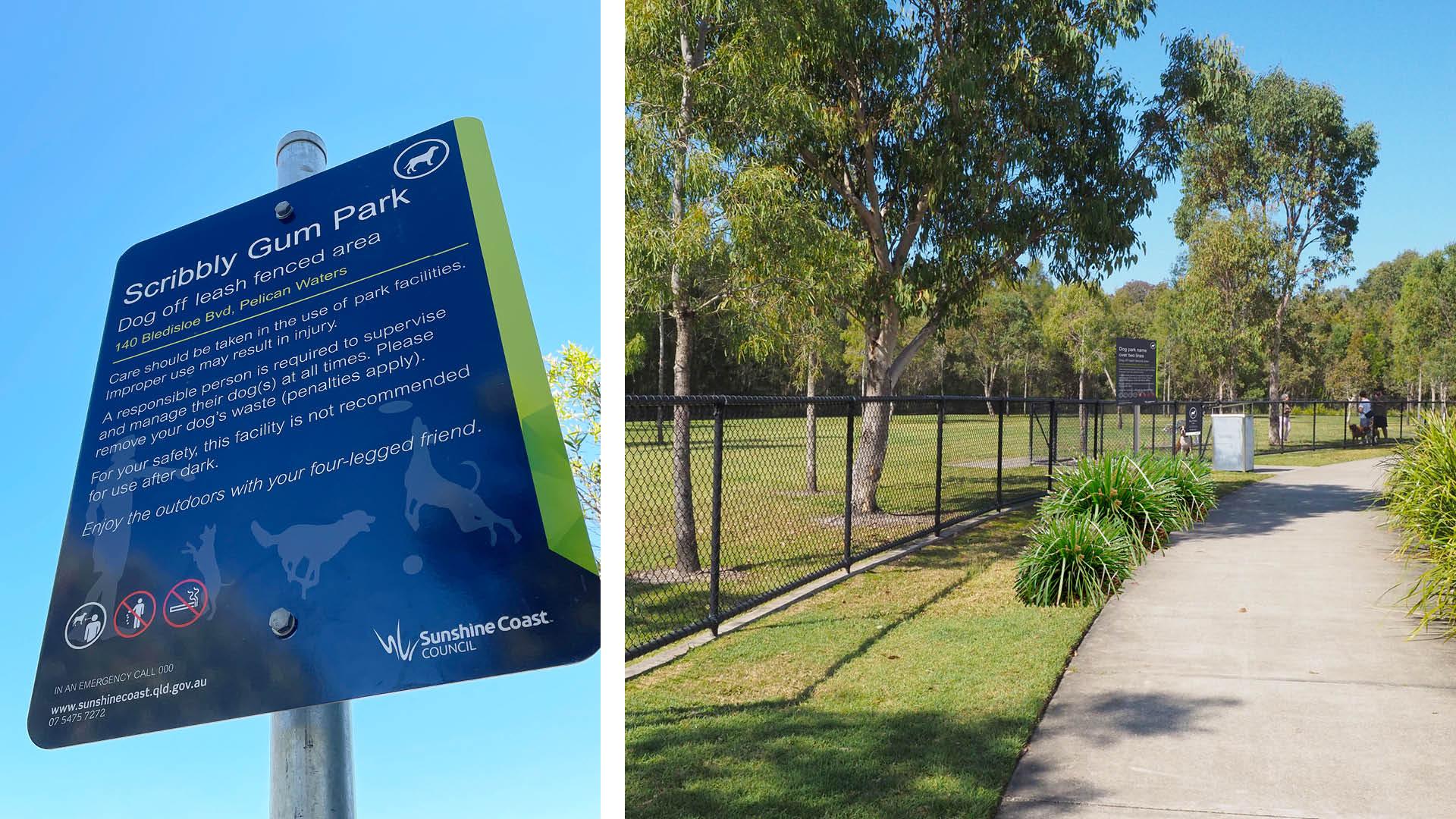 LIM_dog_pic_park activity sign.jpg