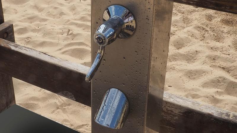 LIM_showers_fig_tapware 3.jpg