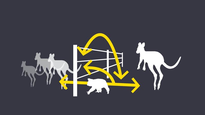 LIM_fence&gates_fig_fauna fences1.jpg