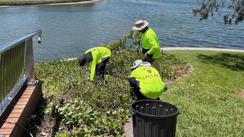 LIM_WSUD_pic_maintenance_ (1).jpg