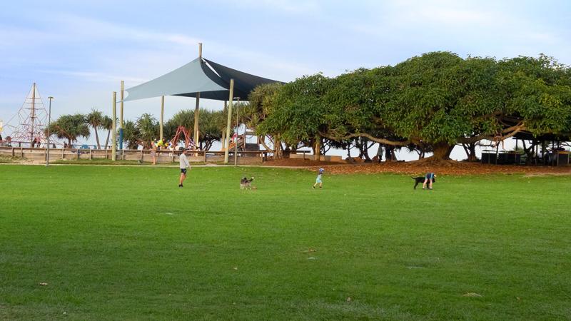 LIM_play_pic_kick and throw.jpg