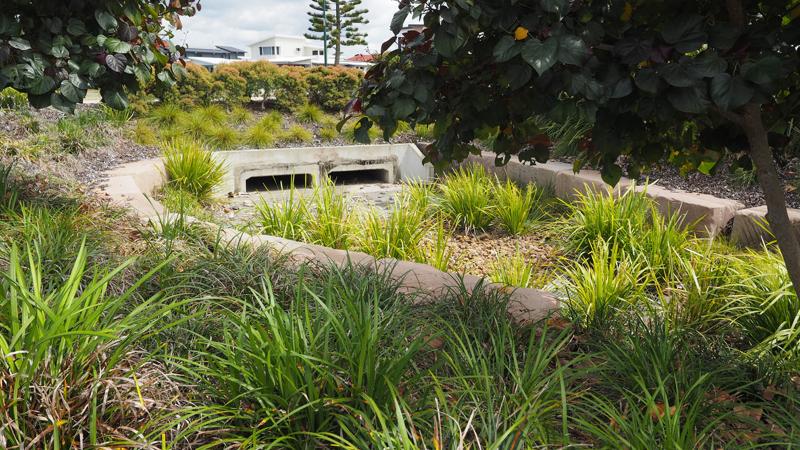 LIM_WSUD_pic_ (4).jpg