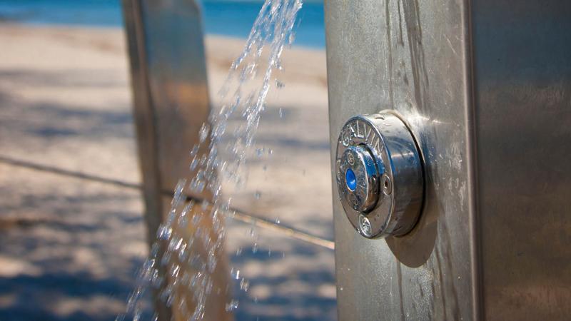 LIM_showers_fig_tapware 2.jpg