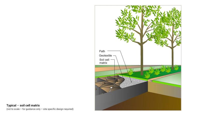 LIM_TreeSenDesign_fig_soil cell matrix.jpg