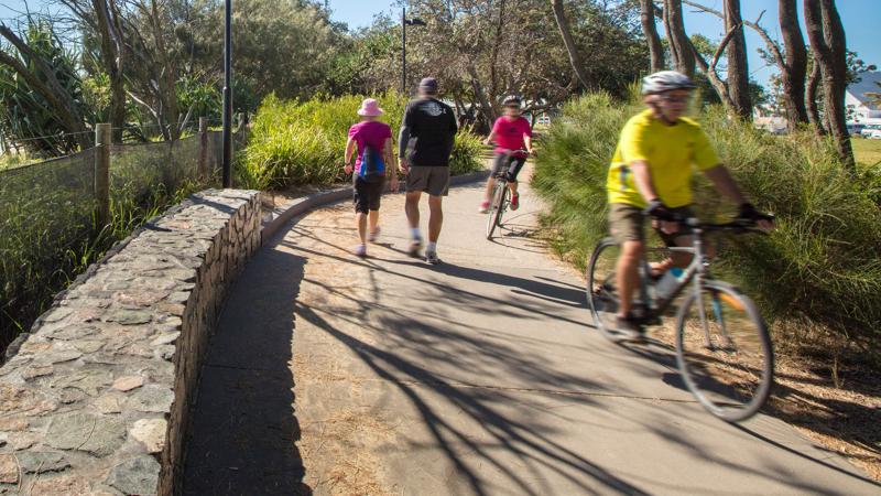 LIM_PTT_pic_pathway users2.jpg