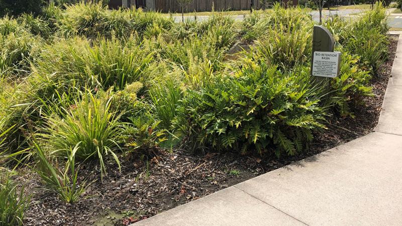 LIM_WSUD_Case study 1 elements_4.jpg