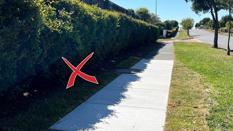 LIM_planting(L)_pic_hedging beside pathway.jpg