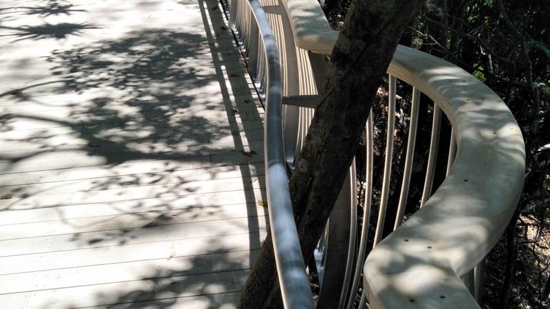 LIM_boardwalks_pic_handrail around tree.jpg