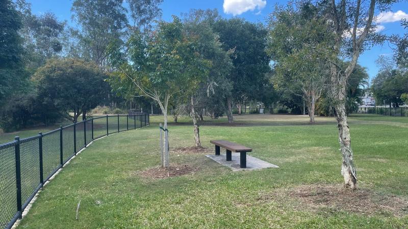 LIM_dog_chillout quiet zone_1.jpg