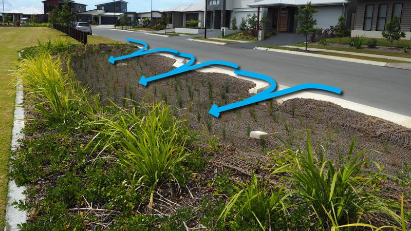 LIM_WSUD_pic_bioretention system_at source1.jpg