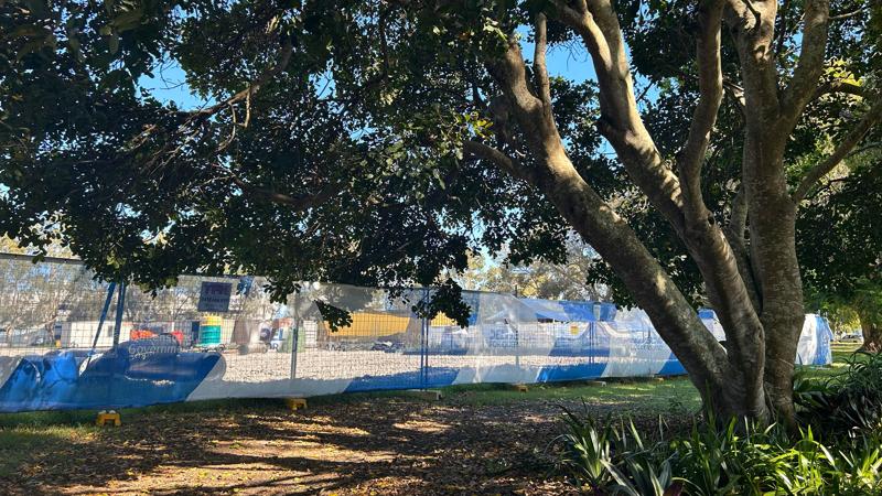 LIM_site setup_pic_tree ptotection TPZ_.jpg