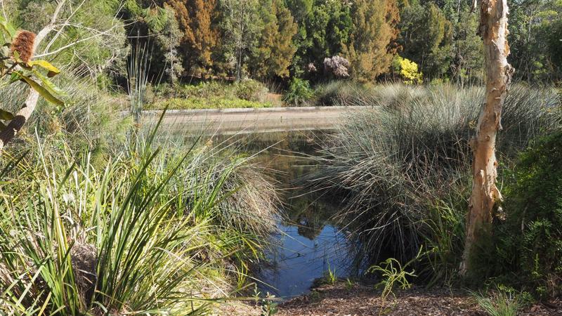 LIM_WSUD_Case study 4 elements_2.jpg