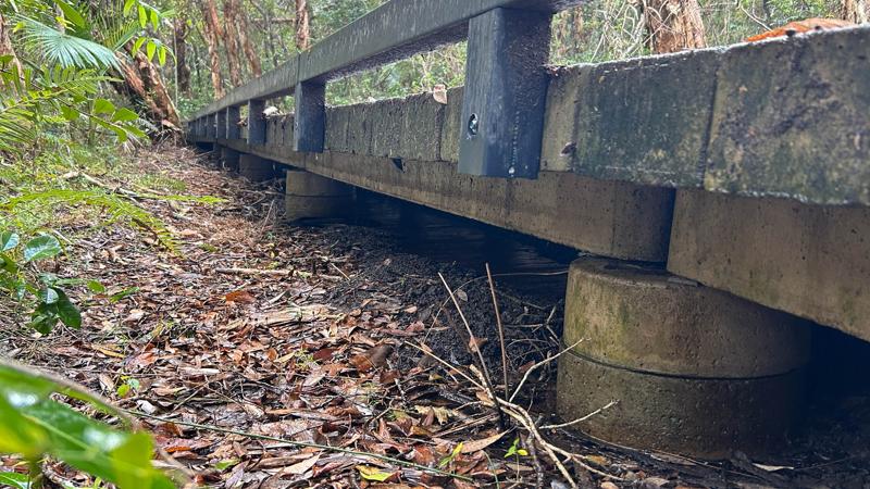 LIM_TreeSenDesign_pic_concrete boardwalk.jpg
