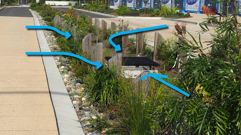 LIM_WSUD_pic_swale types_vegetated1.jpg