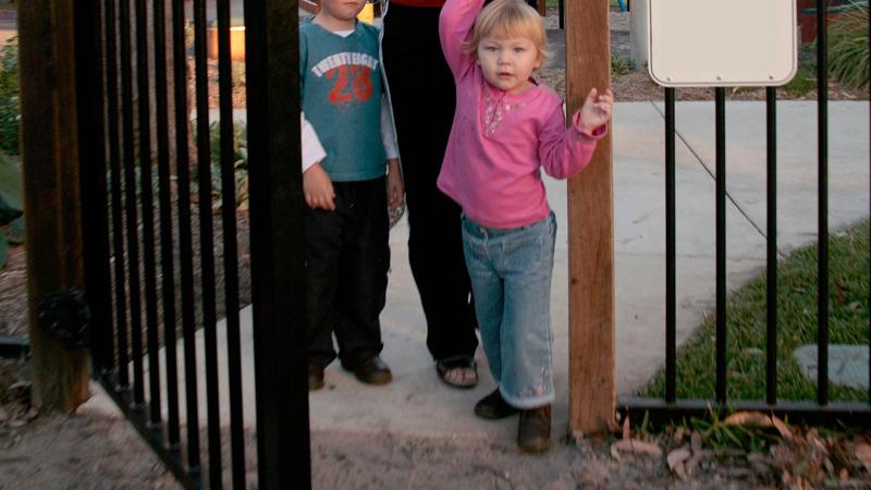 LIM_fence_gates_design fence and gates.jpg