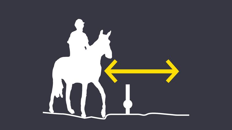 LIM_fence&gates_pic_horse step over1.jpg