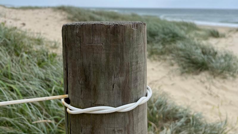 LIM_BI_pic_plastic filament_2.jpg