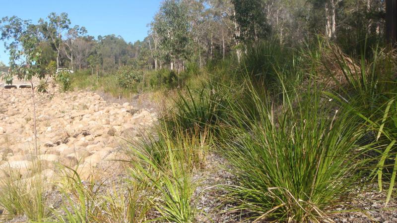 LIM_WSUD_Case study 2 elements_3.jpg