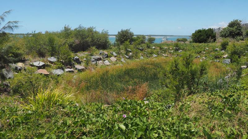 LIM_WSUD_pic_veg infiltration.jpg