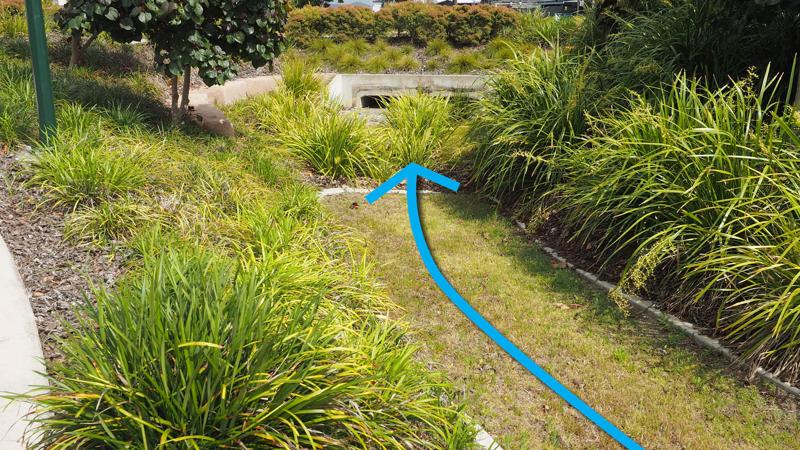 LIM_WSUD_pic_walkable bioretention_grassed.jpg