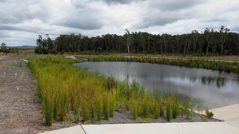 LIM_WSUD_pic_ (3).jpg