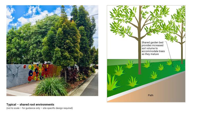 LIM_TreeSenDesign_fig_shared root enviro.jpg