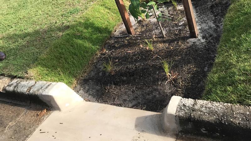 LIM_TreeSenDesign_pic_passive irrigation.jpg