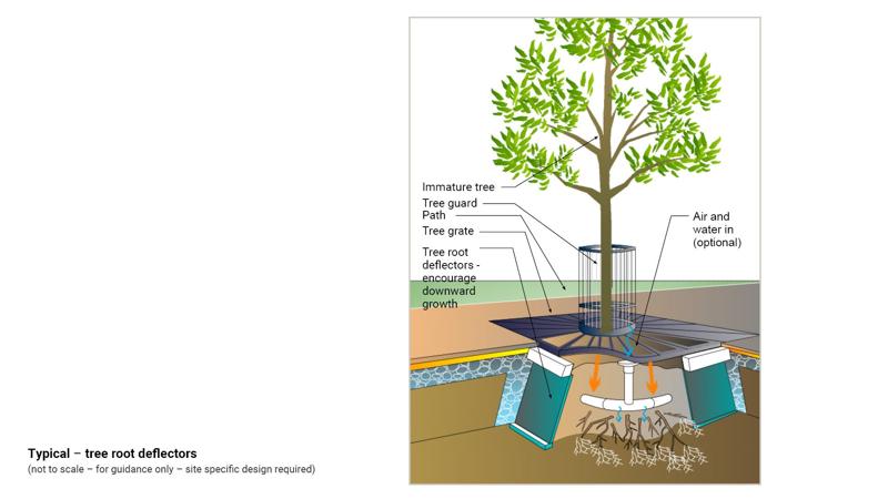 LIM_TreeSenDesign_fig_root deflectors.jpg