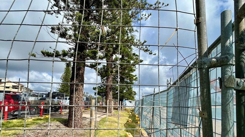 LIM_site setup_pic_TPZ fence.jpg