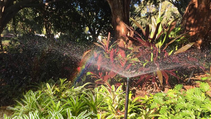 LIM_WSUD_pic_stormwater harvesting_2.jpg