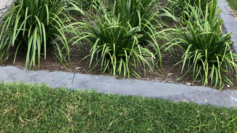 LIM_g edging_edge types_CONCRETE.jpg