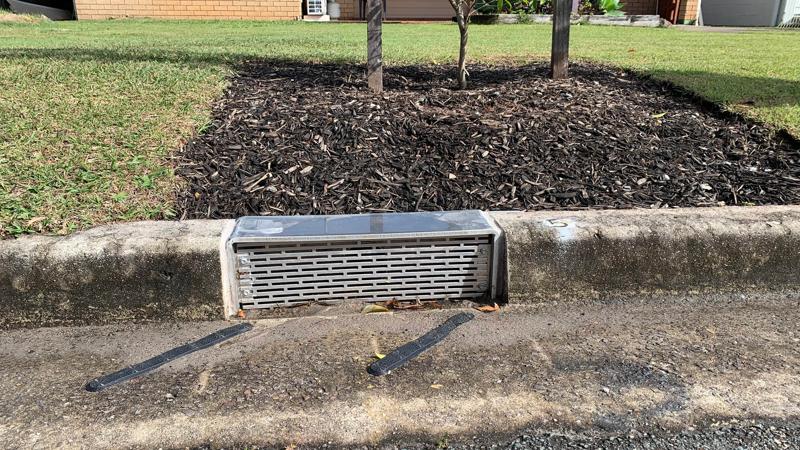 LIM_WSUD_storm watered street trees.jpg