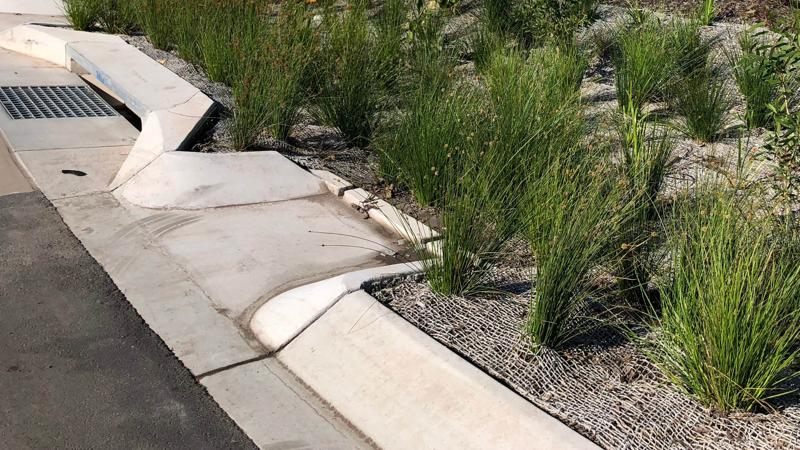 LIM_ldrainage_pic_stormwater treatment.jpg