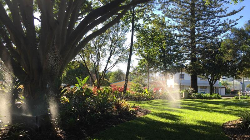 LIM_irrigation_fig pg irrigation.jpg