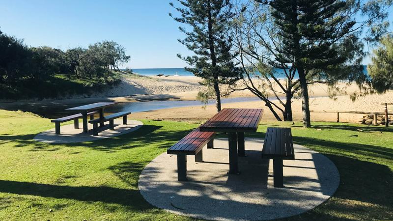 LIM_TreeSenDesign_pic_seats adequately set back from trees.jpg