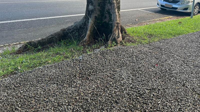 LIM_TreeSenDesign_pic_no fines concrete pathway.jpg